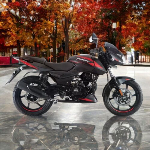 Bajaj Pulsar 150 Twin Disc